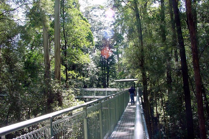 12 Apostles and Otway Fly Zipline Day Trip from Melbourne - Loch Ard Gorge is the most substantial coastal stop