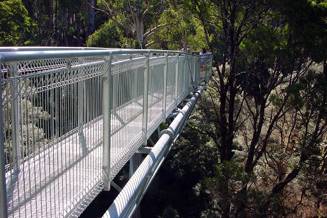 12 Apostles and Otway Fly Zipline Day Trip from Melbourne - The Twelve Apostles boardwalk keeps things simple