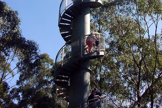 12 Apostles and Otway Fly Zipline Day Trip from Melbourne - Yatzies is a practical lunch stop