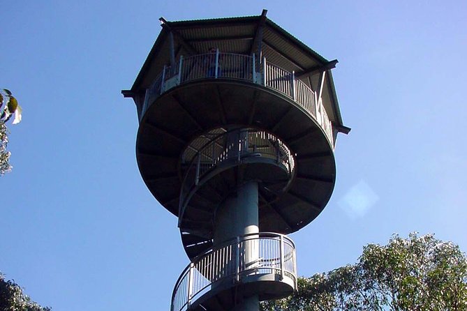 12 Apostles and Otway Fly Zipline Day Trip from Melbourne - How much value do you get for $159.23?