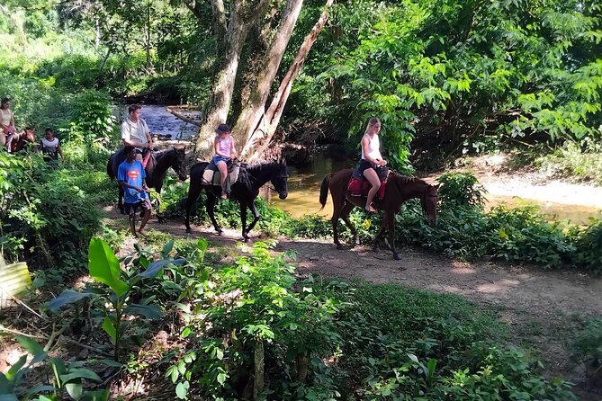 16 Lines Zipline, Cave, Hiking & Biausevu Waterfall Combo Tour - What the six-hour schedule really means