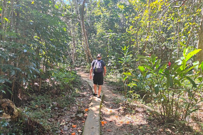 16 Lines Zipline, Cave, Hiking & Biausevu Waterfall Combo Tour - Is $182.97 a fair price for this Fiji day?