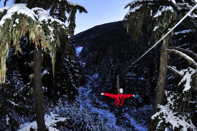 2 Hour Late Afternoon Winter Zipline Adventure - What the forest feels like after dark