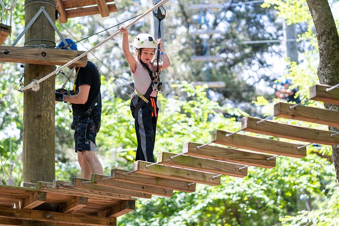 3-Hour Ropes Course & Zip Line Adventure - The smart belay system requires your attention