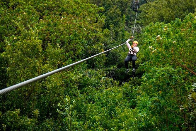 3 hours of the Longest and Highest Extreme Zip line Experience in Monteverde - Nine cables across Monteverde’s cloud forest