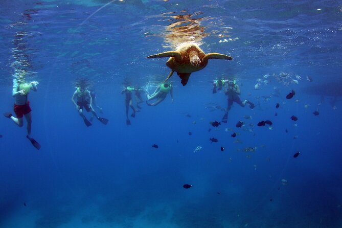 3 Zipline Adventure and 3.5 hour Afternoon Snorkel Cruise - A Hawaiian buffet that keeps the day moving