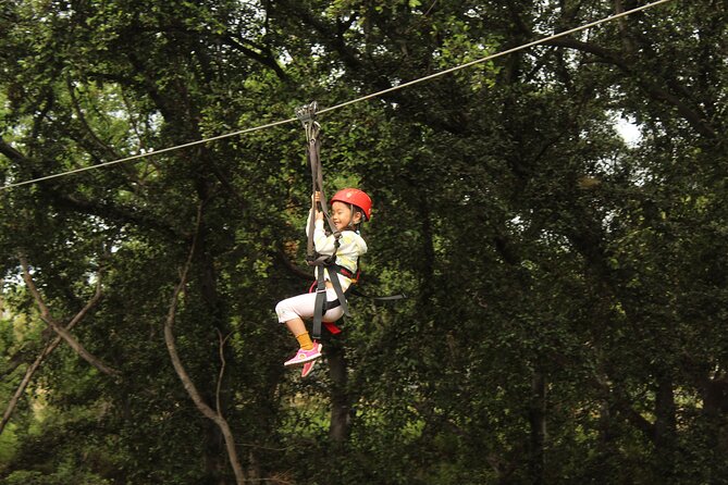 3 Zipline Adventure with Waikiki Transportation - What the Coral Crater zipline experience is really like