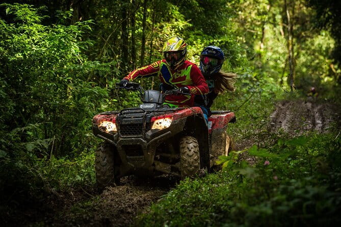 4 Element Day with Zipline Adventure Expedition - What the $81.12 price gets you