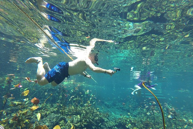 4 Private Cenotes, Zip-Lines, Canoes & Mayan Village with Delicious Lunch - Private Guides Make the Difference