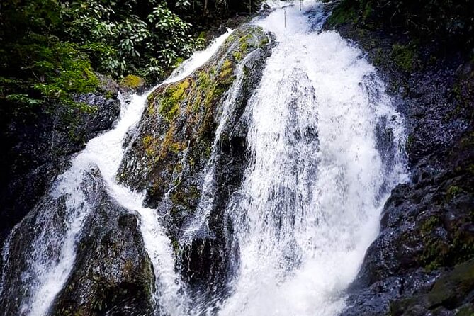 5 Hour Off-Road ATV+ Zipline+ Waterfall Rappelling+ Tractor Jungle Tour - How the tour fits families and couples