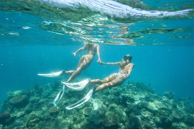 5-in-1 Adventure in Cancun: ATVs, Ziplines, Speed Boat, Snorkel and Cenote Swim - Who will enjoy this package most