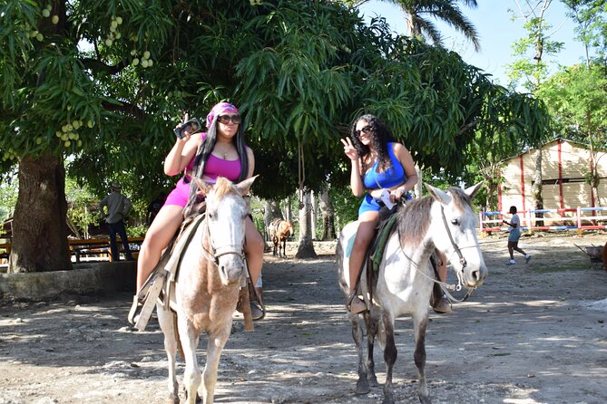 5 tours in 1 (Eco Farm/Horseback/City Tour/Buggy/Zipline) - The family farm adds local flavor