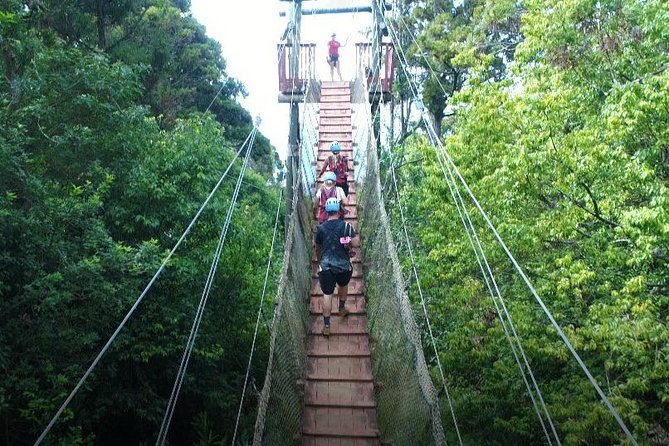 6 Dual-Zipline Mountain Adventure in Maui - Six lines with different speeds and moods