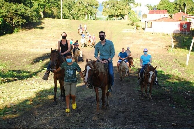 6 in 1 tours Full Day Safari, Zipline, Buggies and Horse Riding - Starting at 7:30 a.m. with hotel pickup