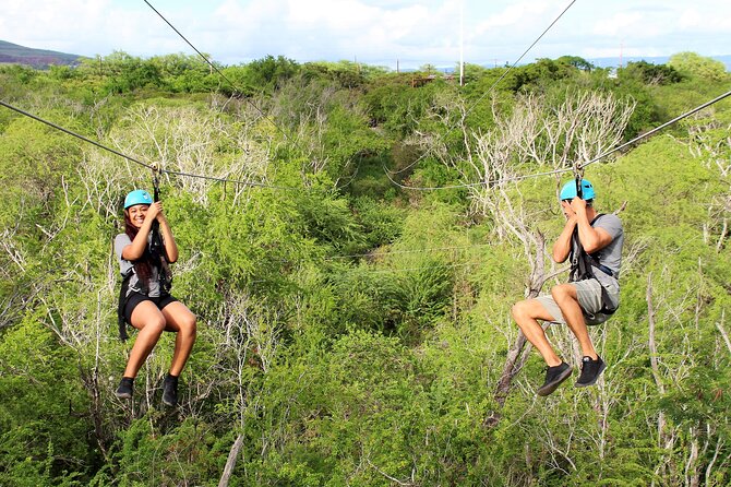 6 Zipline Adventure at Coral Crater (Optional Waikiki Shuttle) - Six ziplines through Coral Crater’s jungle