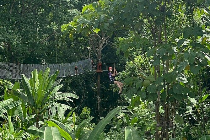 7 Hour Sticky Waterfall and Zipline Adventure - Starting at 9:00 am for Mae Taeng