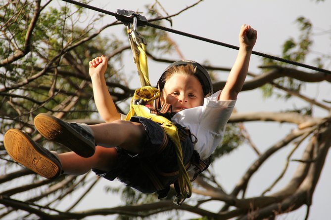7-Line Maui Zipline on the North Shore - The views: attractive, but keep expectations realistic