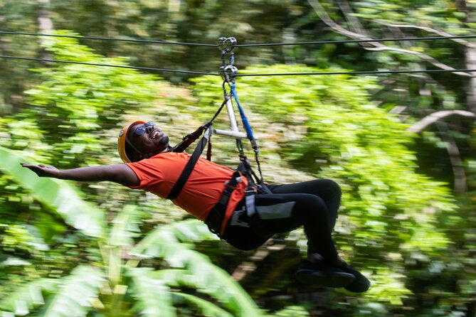 Adrena-Line Zipline, St. Lucia - Pickup from northern hotels and the cost question