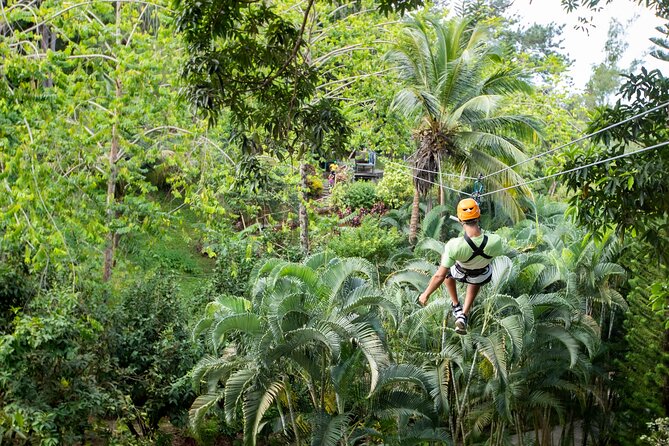 Adrena-Line Zipline, St. Lucia - Booking, cancellation, and timing details