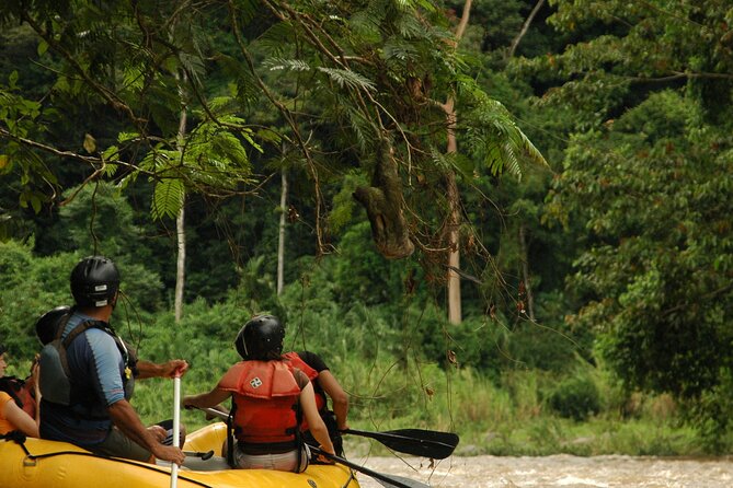 Adrenaline Pack (Zipline + Rafting) - Flying through the canopy on seven zip lines