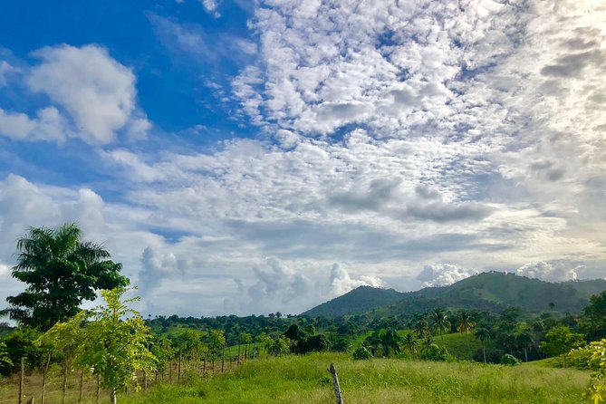 Adventure Bundle: Monkeyland, Ziplines & Buggies Punta Cana - Lunch at Maria’s House