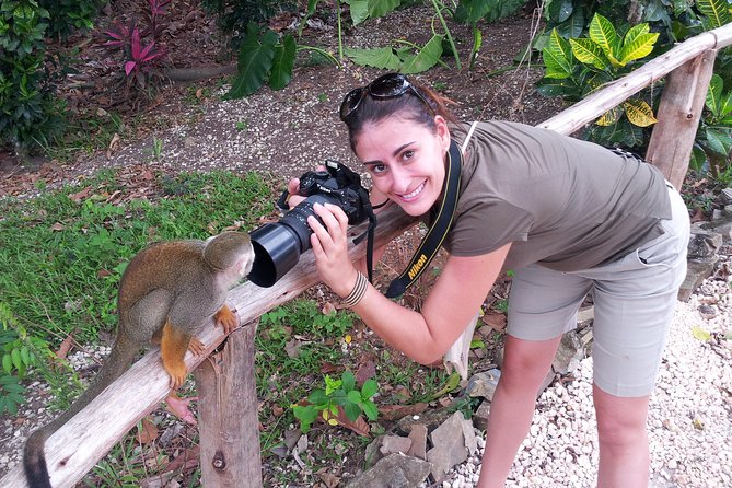 Adventure Bundle: Monkeyland, Ziplines & Buggies Punta Cana - Meeting the Squirrel Monkeys at Monkeyland
