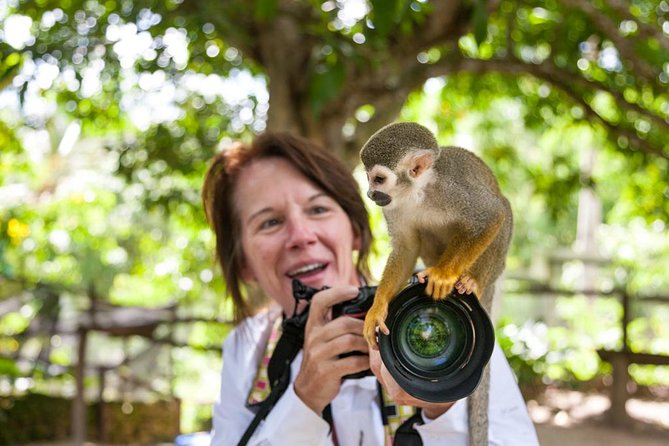 Adventure Bundle: Monkeyland, Ziplines & Buggies Punta Cana - Timing, Waiting, and Group Size