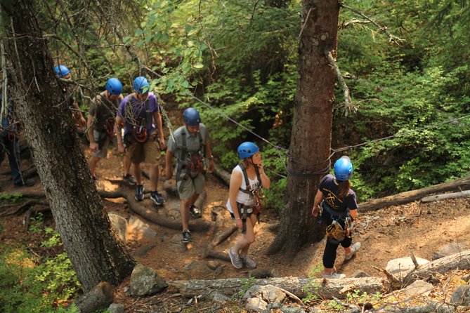 Adventure Parks & Zipline Tour - From Skagway Port to the Klondike Highway