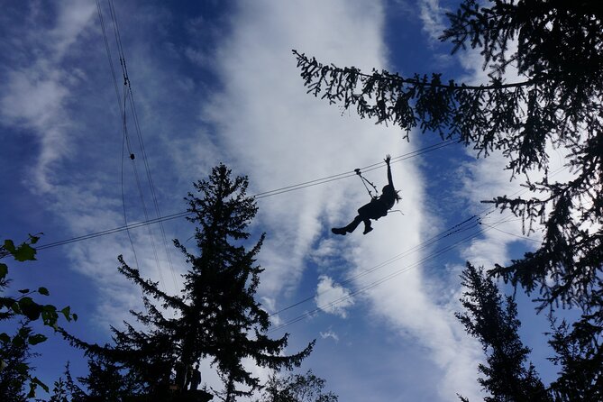 Adventure Parks & Zipline Tour - What the Tour Actually Includes
