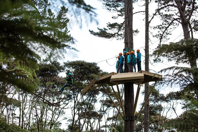 Adventurous Zipline Tour in Coromandel - Why this Coromandel zipline feels different