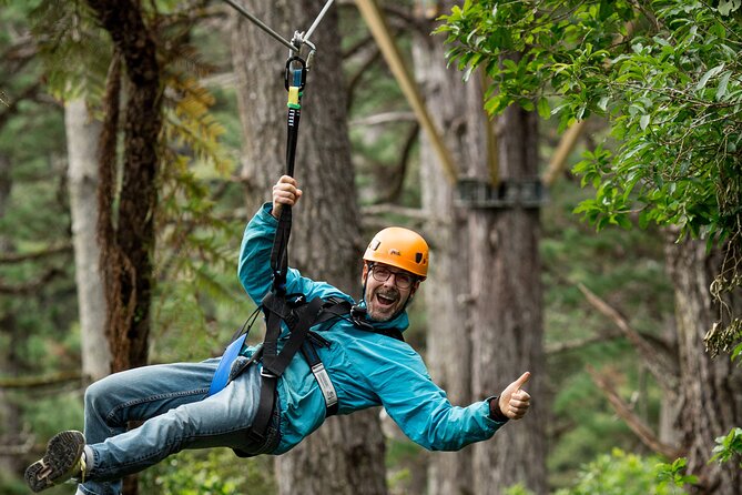 Adventurous Zipline Tour in Coromandel - Eight lines through trees, gullies, and streams