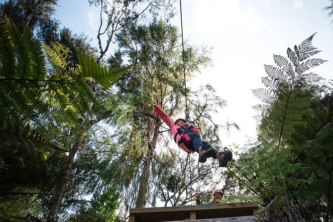 Adventurous Zipline Tour in Coromandel - What the guides add to the experience