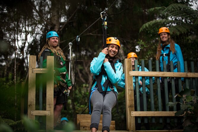 Adventurous Zipline Tour in Coromandel - A conservation story with a practical purpose