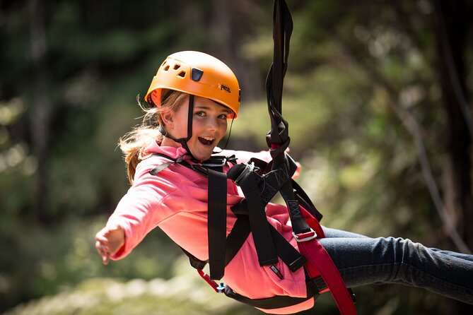 Adventurous Zipline Tour in Coromandel - Is $91.22 good value?
