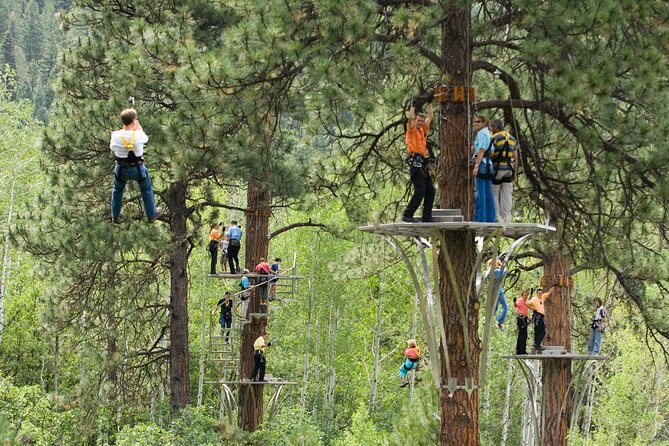 All-Day Guided Zipline Tour with Train Ride and Lunch in Durango - Why this Durango outing feels different from a standard zipline tour