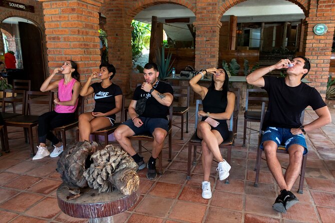 All-in-one PV Experience: Suspension bridge, Quads, Buggies, Ziplines and Mules - Eleven zip lines and a walk between platforms