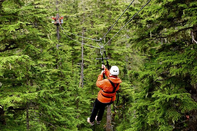 Alpine Zipline Adventure in Juneau, AK - Key points to know before you book