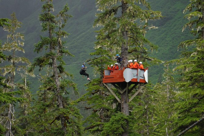 Alpine Zipline Adventure in Juneau, AK - From downtown Juneau to Eaglecrest Lodge