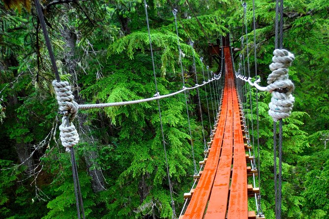 Alpine Zipline Adventure in Juneau, AK - What the $257.25 price really covers