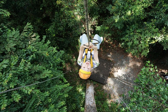 Angkor Wat Park Zip Line Adventure in Siem Reap - Choosing between the Gold and Silver Courses