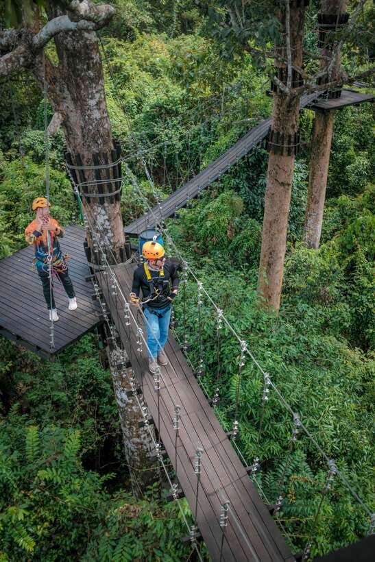 Angkor Zipline and Temple Tour with Sunset - Who should book this Angkor day?