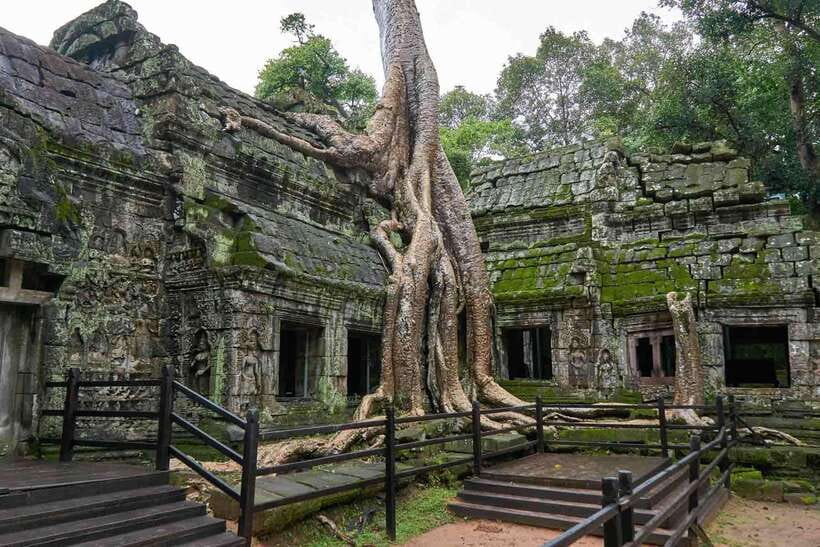 Angkor Zipline and Temple Tour with Sunset - From hotel pickup to the Orchid House