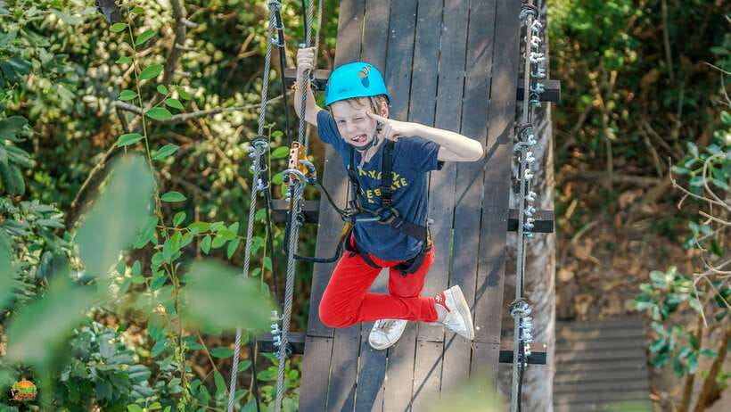Angkor Zipline Eco-Adventure Canopy Tour - Choosing between the Silver and Gold courses