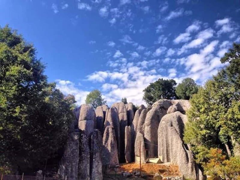 Antalya/Belek: Rafting With Quad Safari, Zipline Options - Who will enjoy this day most