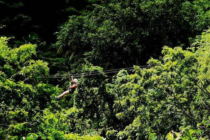 Antigua Zipline Canopy Adventure from St John’s - Is $110 a good value?