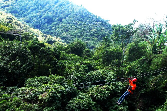 Antigua Zipline Canopy Adventure from St John’s - What the aerial course is really like