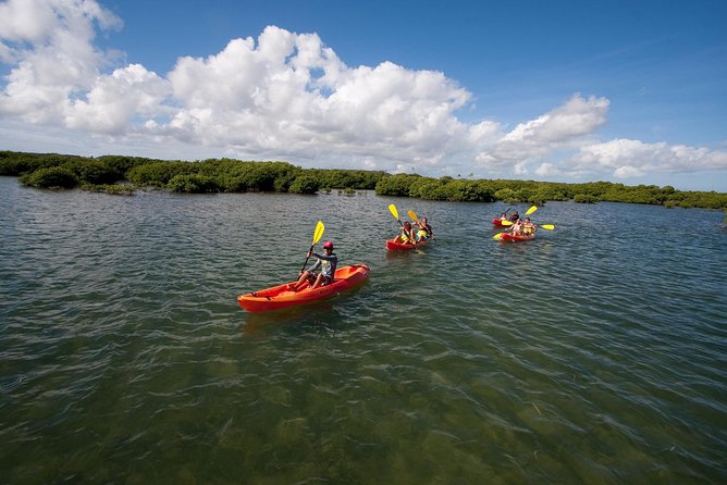 Antigua Zipline & Kayaking Combo From St. John's - The ride toward Antigua’s south-west coast