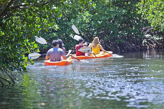 Antigua Zipline & Kayaking Combo From St. John's - Speedboat ride through North Sound Marine Park