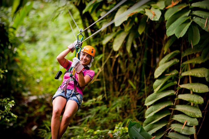 Antigua Zipline & Kayaking Combo From St. John's - Eight zip lines above the rainforest
