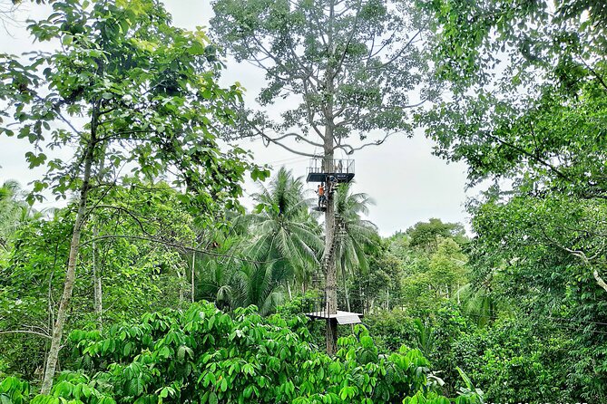 ATV And Zipline Experience on Koh Samui with Transfer - Hotel pickup keeps the start simple